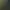 Paper – Tree, 30 million fibers per gram