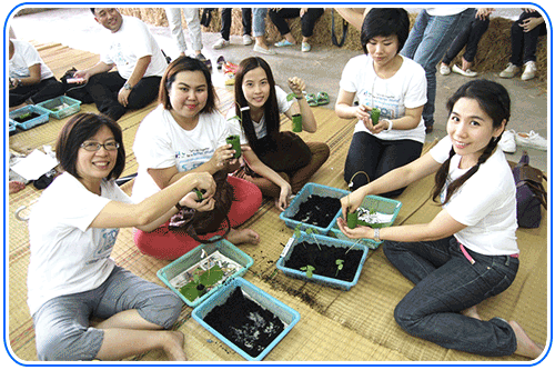 กระถางประดิษฐ์จากใบตอง นำกลับไปปลูกต่อที่บ้าน