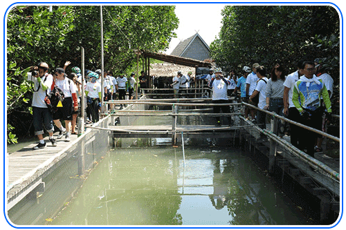 ชมแหล่งเรียนรู้ รร.คลองพิทยาลงกรณ์