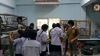 ชมห้องพักฟื้นสัตว์ป่วย