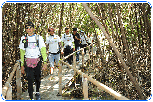 แหล่งเรียนรู้ธรรมชาติระบบนิเวศน์ป่าชายเลน