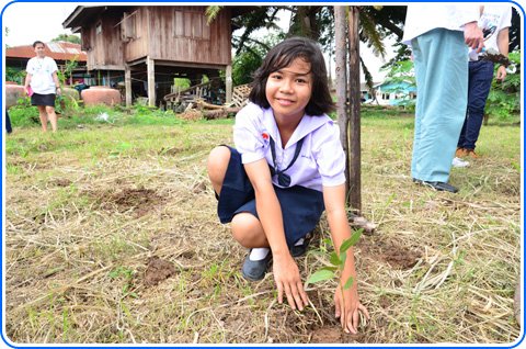 เด็กนักเรียนร่วมกันปลูกต้นกระดาษในพื้นที่ว่างของโรงเรียน